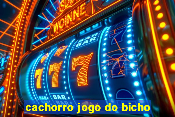 cachorro jogo do bicho